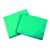 Mint green plastic table cover